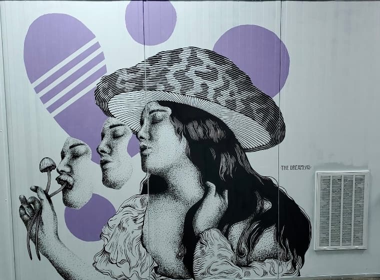 The Dreamers - mushroom-inspired graffiti art at Shyne facility