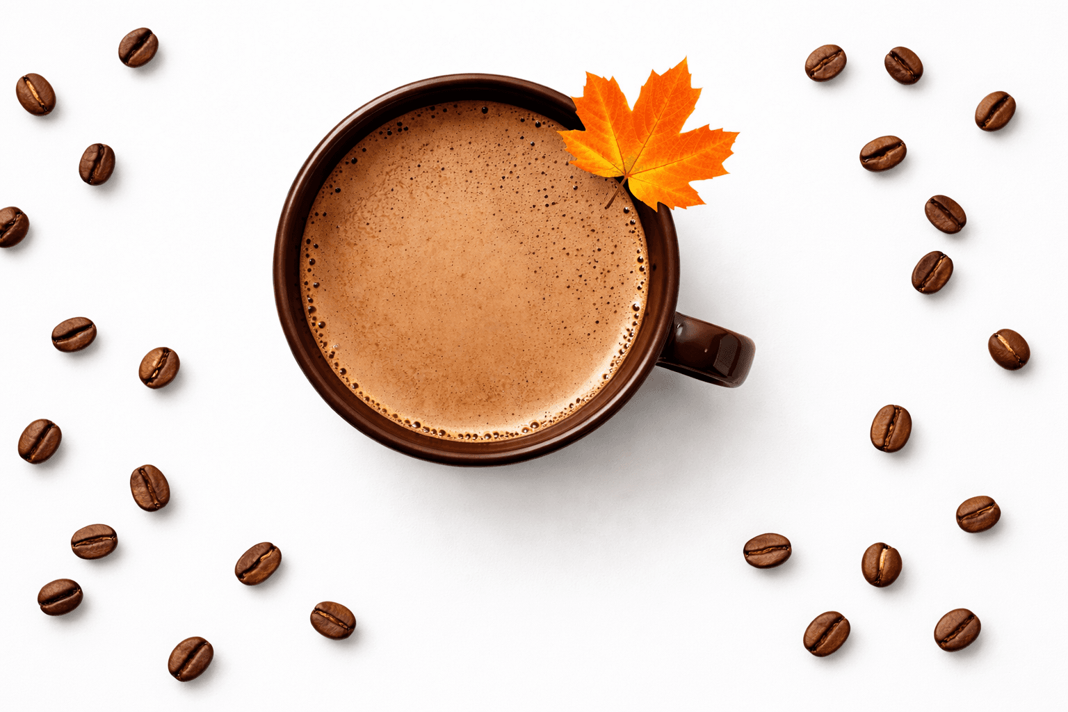 Mushroom coffee Canada - Shyne organic Lion's Mane, Chaga and Turkey Tail blend