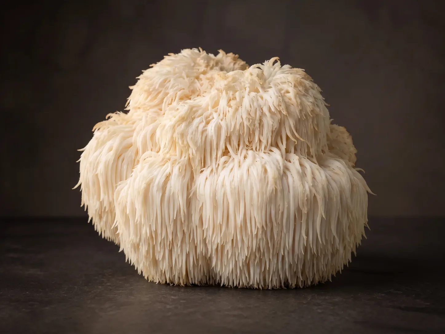 Lion's Mane ingredient