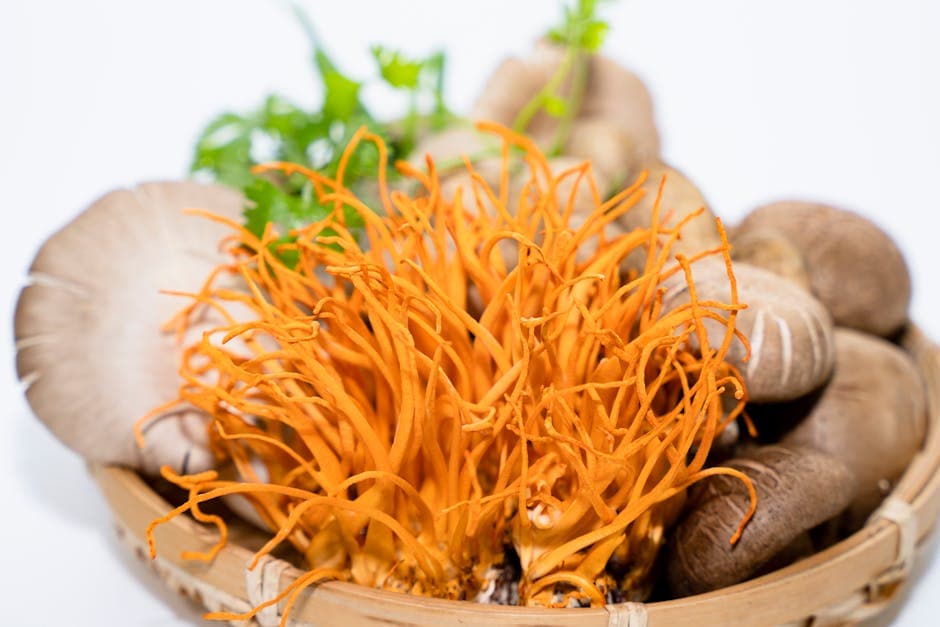 Vibrant orange cordyceps mushroom in basket - athletic performance guide